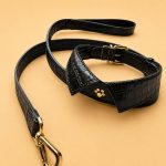 L1000collar - تصویر 2